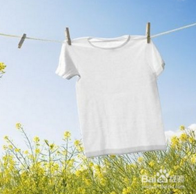 1492528237347180 (1).png